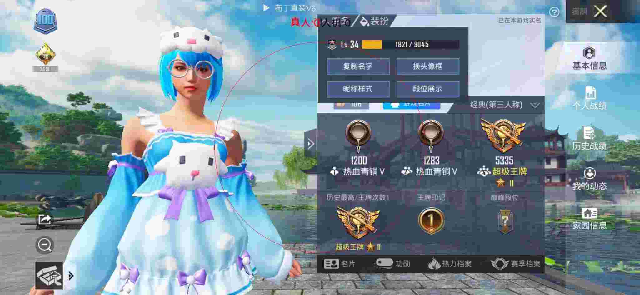 和平精英布丁直装透视 - 和平辅助订单图片真实辅助预览图